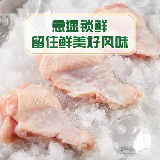 圣农鸡翅根一袋 商品图2