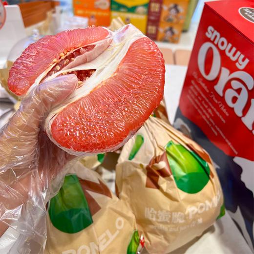 泰国红宝石柚子  特级 商品图12