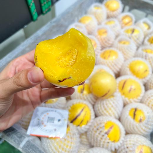 风化石树熟人参果 水润多汁 树上成熟更甜蜜 商品图9