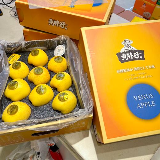 黄胖子黄金维纳斯苹果 脆甜 商品图7