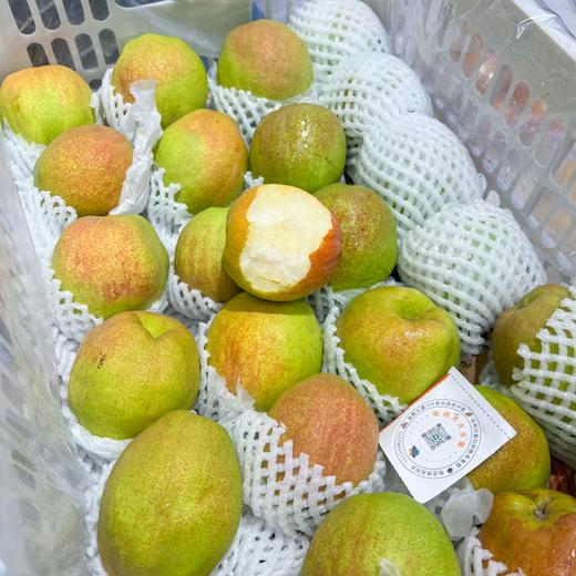 新疆库尔勒香梨 太阳果 梨果 商品图3