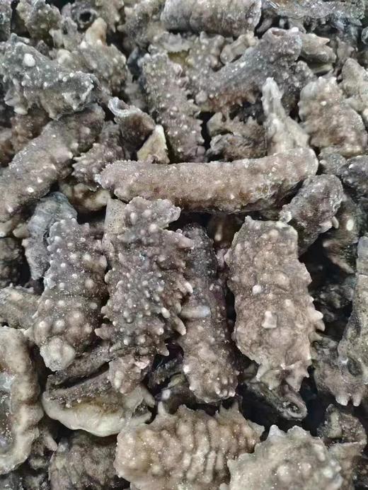 即食残海参一袋 商品图0