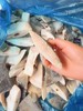 偏口鱼块一袋 商品缩略图1