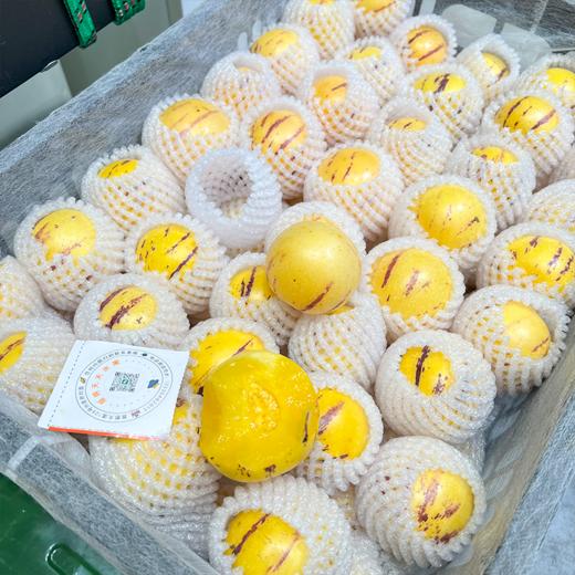 风化石树熟人参果 水润多汁 树上成熟更甜蜜 商品图10