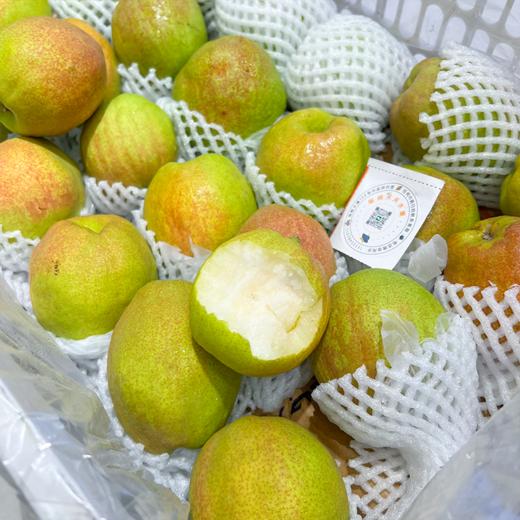 新疆库尔勒香梨 太阳果 梨果 商品图1
