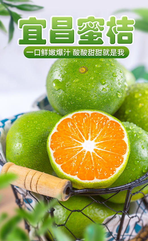 FX宜昌蜜橘 商品图0