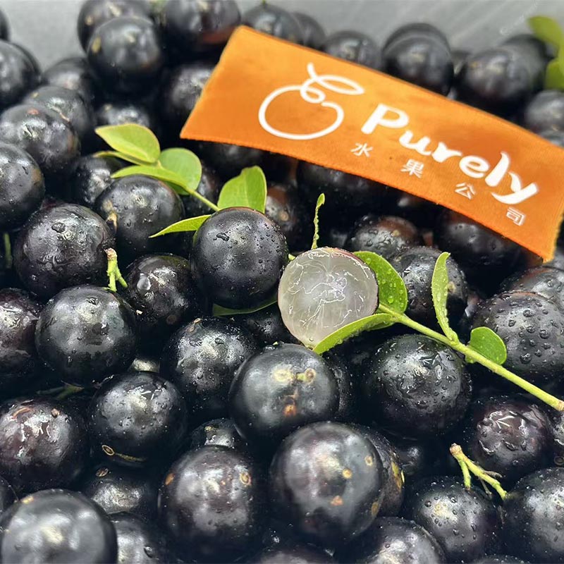 越南进口「嘉宝果」大果 1kg