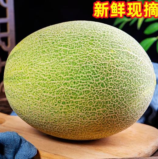 FX海南哈密瓜 商品图4