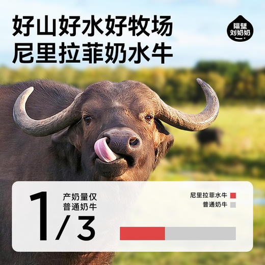 【旗舰】隔壁刘奶奶水牛配方mini奶125ml*9盒/箱 商品图2