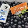 越南进口「嘉宝果」大果 1kg 商品缩略图4