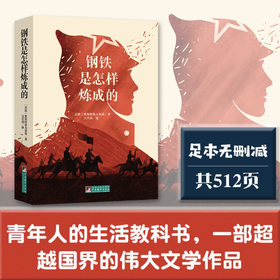 钢铁是怎样炼成的（经典新读 中央编译出版社）