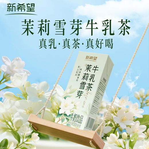 新希望 茉莉雪芽牛乳茶200ml*12盒  精选双瓣茉莉  真茶萃取 茶味甘醇  48小时发货 商品图0