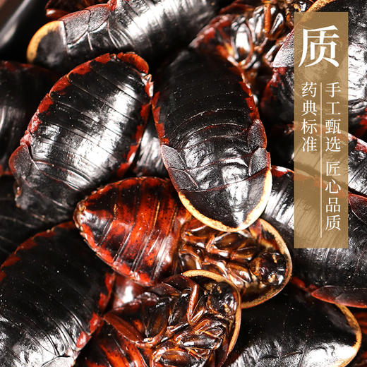 金边土鳖  康美中药饮片 独立小包装 商品图2