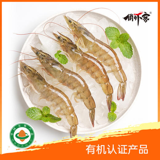 俏虾客 有机盐田带头生虾400g*2盒 商品图3