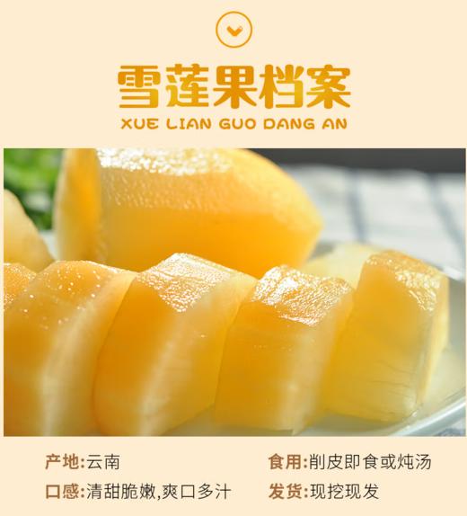 FX云南天山雪莲果 商品图3