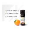 雅琪朵：甜橙单方精油10ml 商品缩略图1