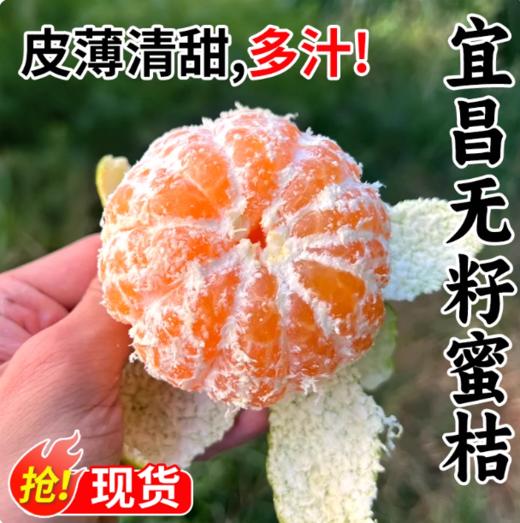 FX宜昌蜜橘 商品图3