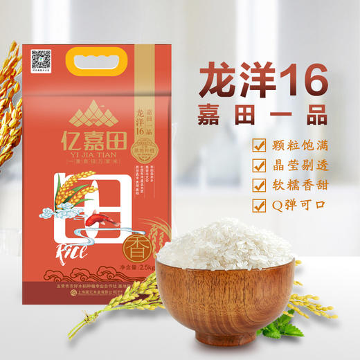 龙阳16(六面）2.5kg 商品图1
