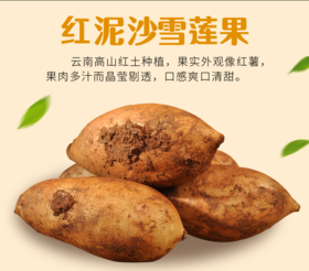 FX云南天山雪莲果