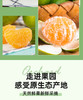 FX宜昌蜜橘 商品缩略图1