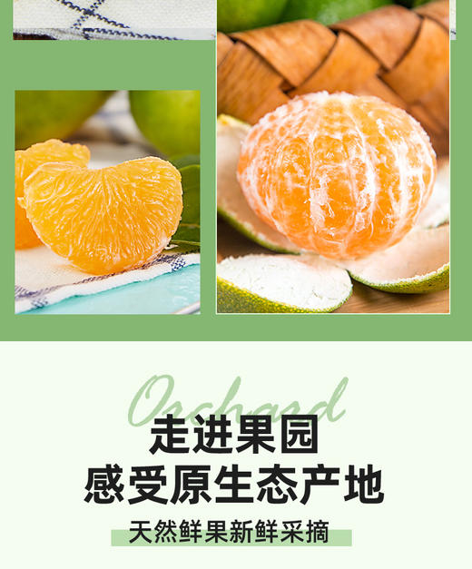 FX宜昌蜜橘 商品图1