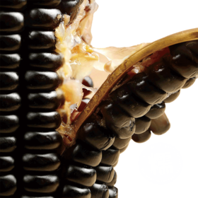 五优谷 黑糯小玉米礼盒2200g