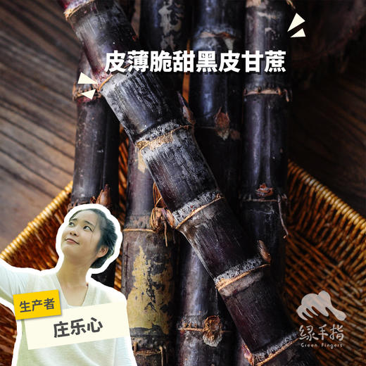 有机黑皮甘蔗（中通） | 合作生产*Eco-Sugarcane | Partner Production 商品图0