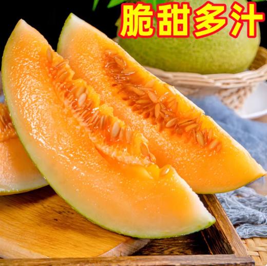 FX海南哈密瓜 商品图2