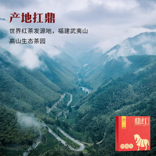 八马茶业·鼎红1000·金骏眉192g 商品图1