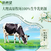 新希望 茉莉雪芽牛乳茶200ml*12盒  精选双瓣茉莉  真茶萃取 茶味甘醇  48小时发货 商品缩略图1