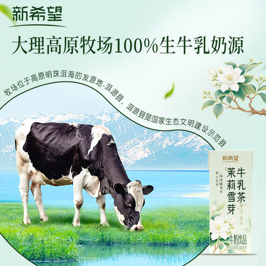 新希望 茉莉雪芽牛乳茶200ml*12盒  精选双瓣茉莉  真茶萃取 茶味甘醇  48小时发货 商品图1