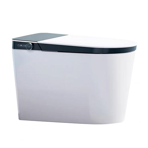 【北京】【希箭】XR80无水压大冲力智能坐便器 商品图0