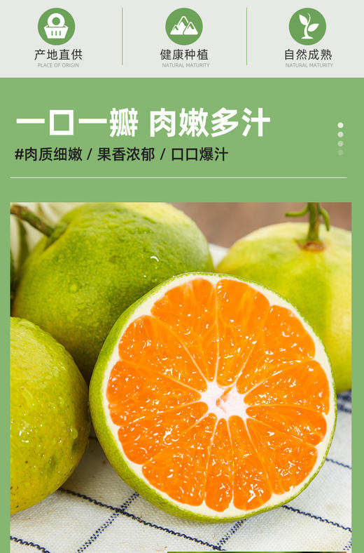 FX宜昌蜜橘 商品图2