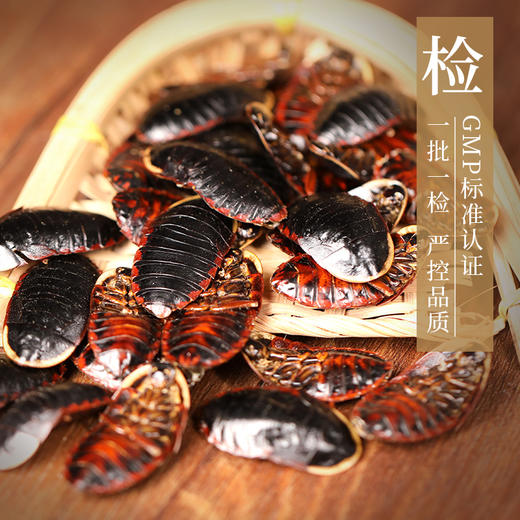 金边土鳖  康美中药饮片 独立小包装 商品图3