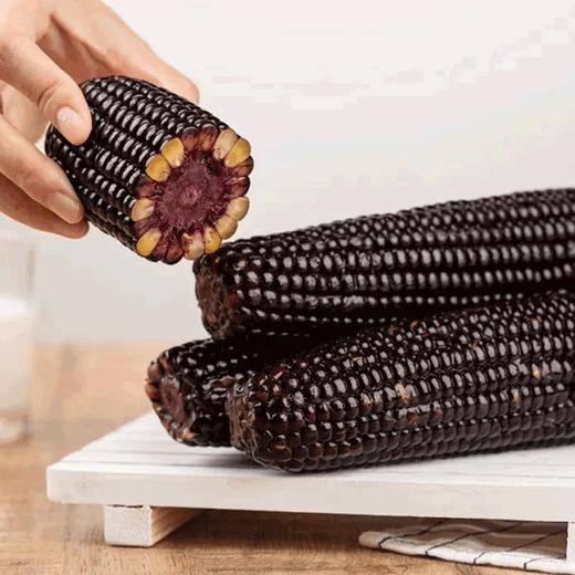 五优谷 黑糯小玉米礼盒2200g 商品图2