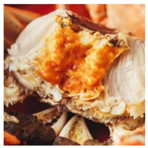 杨桂珍大闸蟹五星系列公蟹3.6两   8只装 商品图1