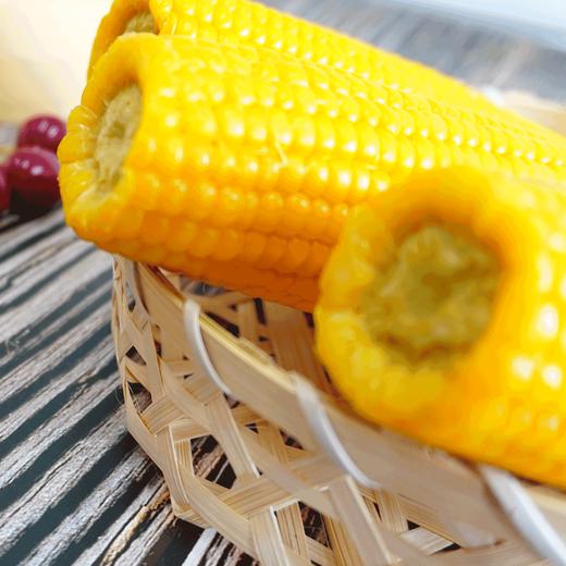 五优谷 黄糯玉米礼盒2200g 商品图0