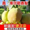FX库尔勒香梨 商品缩略图0