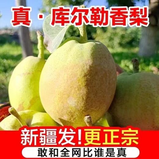 FX库尔勒香梨 商品图0