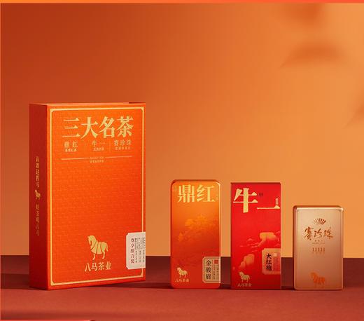 八马茶业·三大名茶尊享礼盒【（鼎红10000金骏眉16.8克(4包)+牛一12800大红袍17克(2包)+赛珍珠11111铁观音25克(3包)】 商品图0