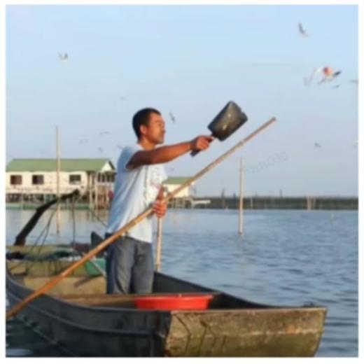 杨桂珍大闸蟹五星系列公蟹3.6两   8只装 商品图5