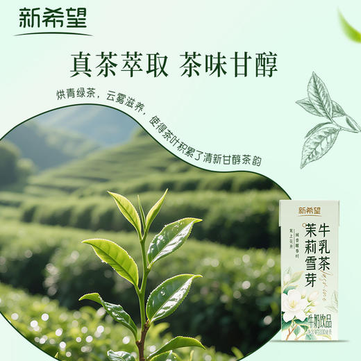 新希望 茉莉雪芽牛乳茶200ml*12盒  精选双瓣茉莉  真茶萃取 茶味甘醇  48小时发货 商品图3