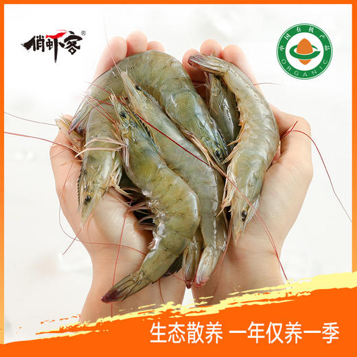 俏虾客 有机盐田带头生虾400g*2盒 商品图2
