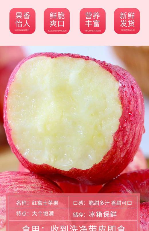 FX烟台红富士苹果 商品图3