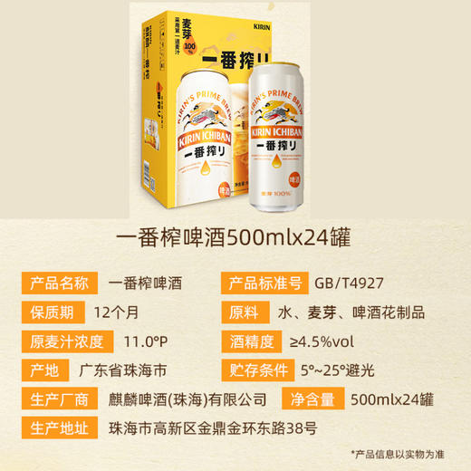 麒麟 11°P一番搾啤酒 500ml/1听/6听/12听/24听整箱 商品图1