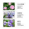 雅琪朵：玫瑰美颜霜50ml  补水保湿提亮肤色提拉紧致有机 商品缩略图2