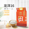 龙阳16(六面）2.5kg 商品缩略图0