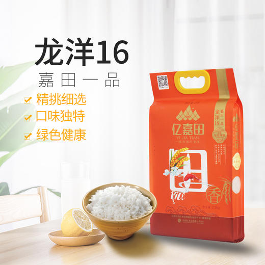 龙阳16(六面）2.5kg 商品图0