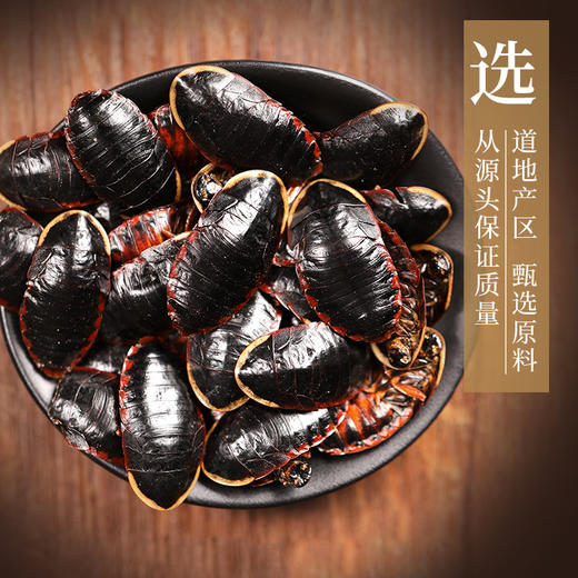 金边土鳖  康美中药饮片 独立小包装 商品图1