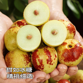 脆甜冬枣500g左右